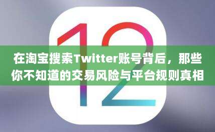 在淘宝搜索Twitter账号背后，那些你不知道的交易风险与平台规则真相