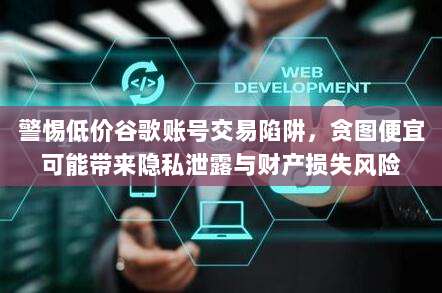 警惕低价谷歌账号交易陷阱,贪图便宜可能带来隐私泄露与财产损失风险