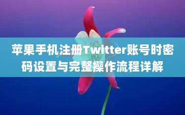 苹果手机注册Twitter账号时密码设置与完整操作流程详解