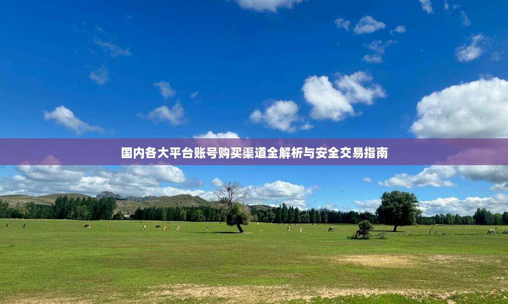 国内各大平台账号购买渠道全解析与安全交易指南