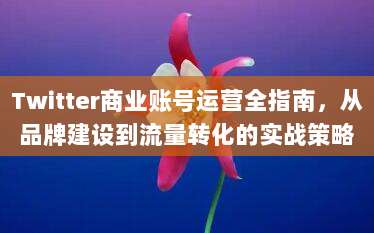 Twitter商业账号运营全指南，从品牌建设到流量转化的实战策略