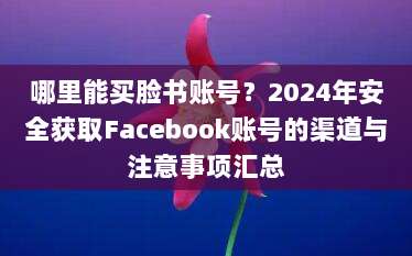 哪里能买脸书账号?2024年安全获取Facebook账号的渠道与注意事项汇总