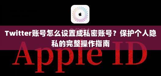 Twitter账号怎么设置成私密账号？保护个人隐私的完整操作指南