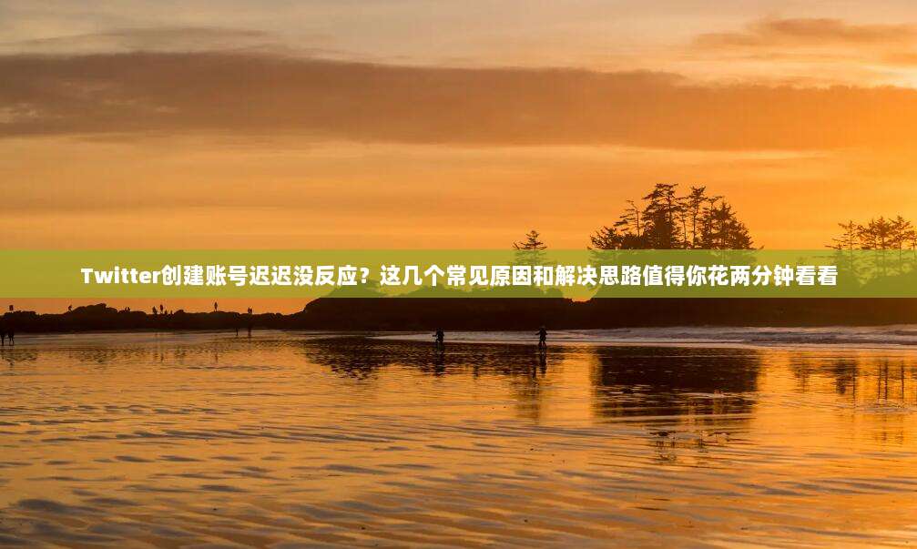 Twitter创建账号迟迟没反应？这几个常见原因和解决思路值得你花两分钟看看