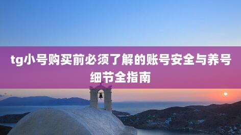 tg小号购买前必须了解的账号安全与养号细节全指南