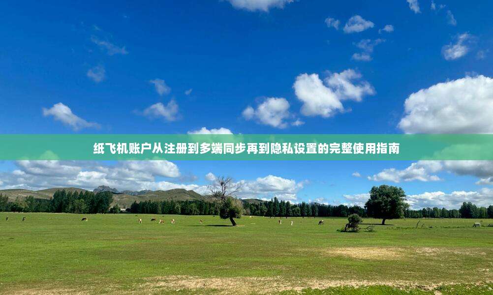 纸飞机账户从注册到多端同步再到隐私设置的完整使用指南