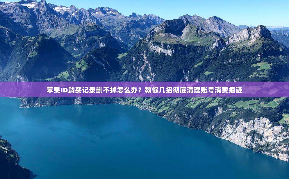 苹果ID购买记录删不掉怎么办？教你几招彻底清理账号消费痕迹
