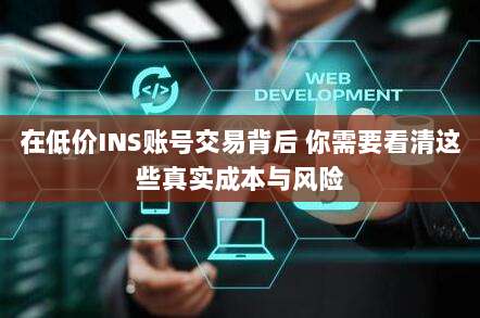 在低价INS账号交易背后 你需要看清这些真实成本与风险
