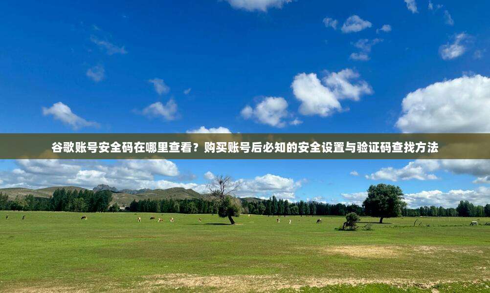 谷歌账号安全码在哪里查看？购买账号后必知的安全设置与验证码查找方法