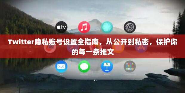 Twitter隐私账号设置全指南,从公开到私密,保护你的每一条推文