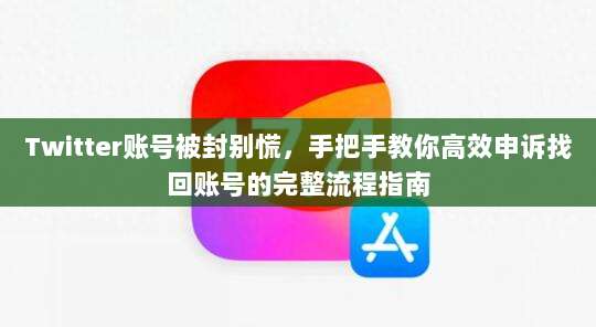 Twitter账号被封别慌,手把手教你高效申诉找回账号的完整流程指南
