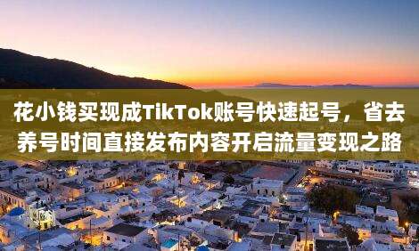 花小钱买现成TikTok账号快速起号,省去养号时间直接发布内容开启流量变现之路