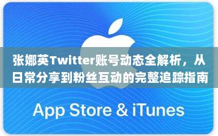 张娜英Twitter账号动态全解析，从日常分享到粉丝互动的完整追踪指南