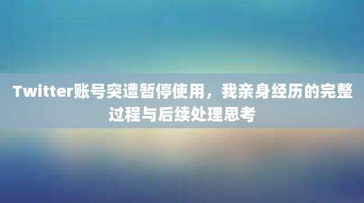 Twitter账号突遭暂停使用，我亲身经历的完整过程与后续处理思考