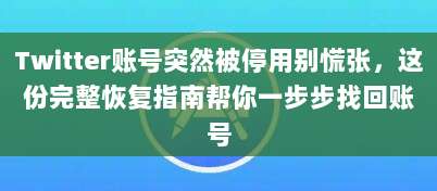 Twitter账号突然被停用别慌张，这份完整恢复指南帮你一步步找回账号