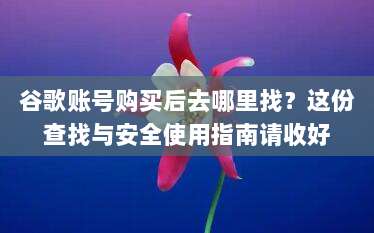 谷歌账号购买后去哪里找？这份查找与安全使用指南请收好