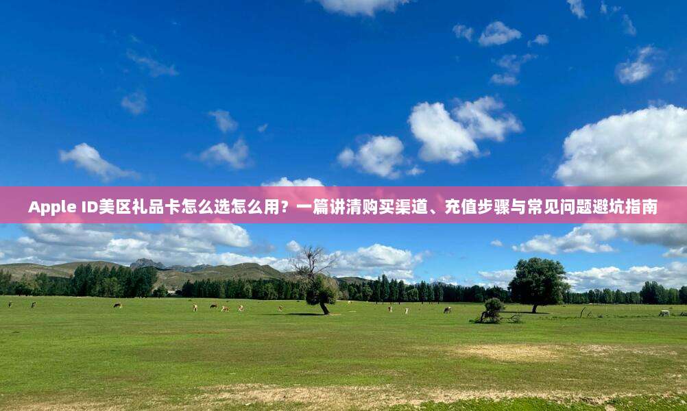 Apple ID美区礼品卡怎么选怎么用？一篇讲清购买渠道、充值步骤与常见问题避坑指南