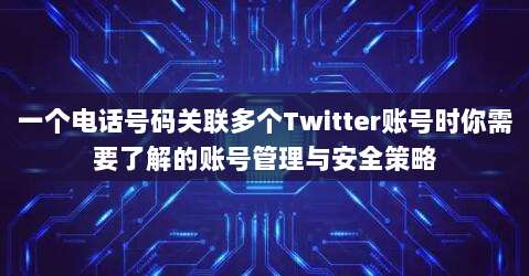 一个电话号码关联多个Twitter账号时你需要了解的账号管理与安全策略