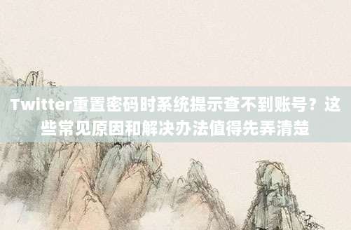 Twitter重置密码时系统提示查不到账号？这些常见原因和解决办法值得先弄清楚