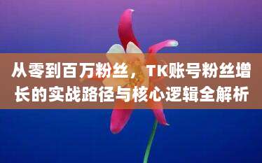 从零到百万粉丝，TK账号粉丝增长的实战路径与核心逻辑全解析