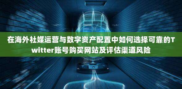 在海外社媒运营与数字资产配置中如何选择可靠的Twitter账号购买网站及评估渠道风险