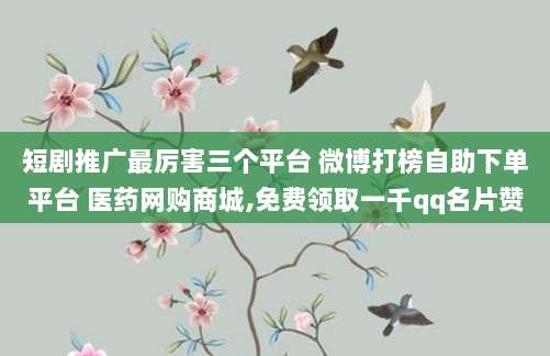 澳大利亚ID账号注册指南,轻松掌握注册流程,快速开启您的澳洲之旅