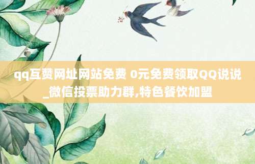 P网站建设:开发者账号的作用、申请流程及效率提升探讨