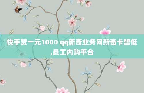 澳洲专属魅力，深度解析iPhone 12 Pro的卓越性能与独特设计