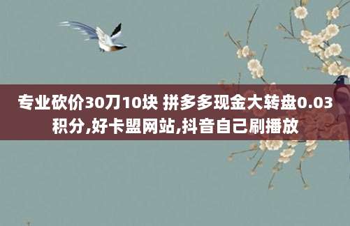 免费获取长期稳定的外国苹果ID账号，永久使用不封禁！