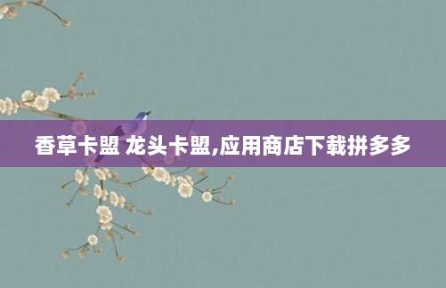 2020年美区Apple ID最新注册指南,轻松获取海外应用资源