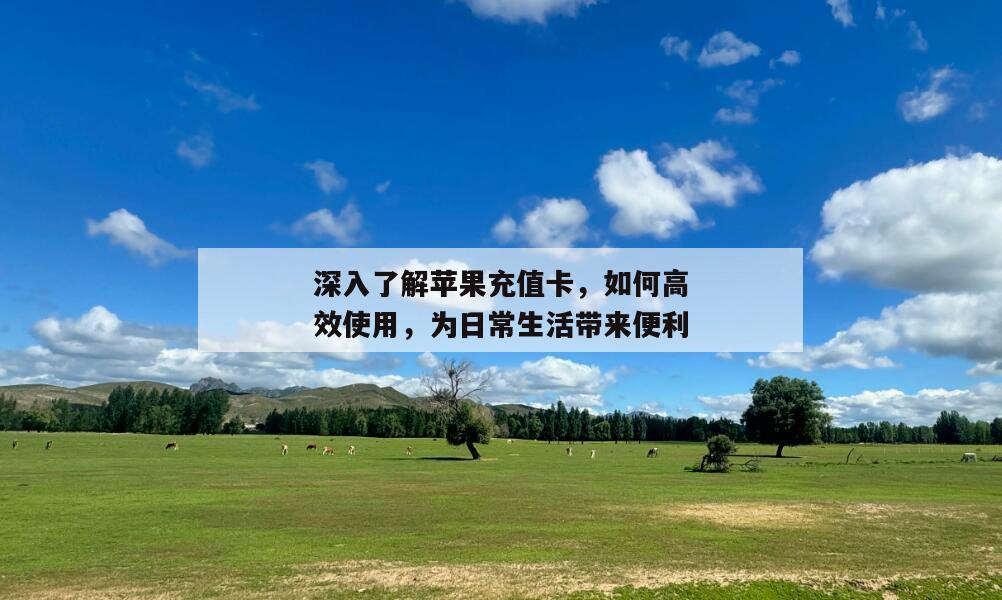 深入了解苹果充值卡，如何高效使用，为日常生活带来便利