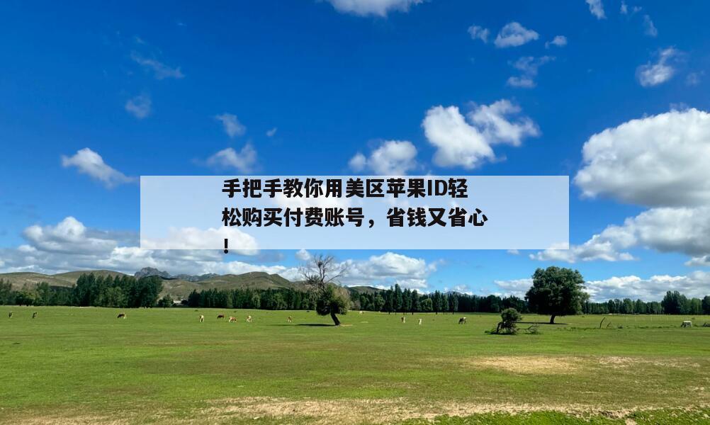 手把手教你用美区苹果ID轻松购买付费账号，省钱又省心！