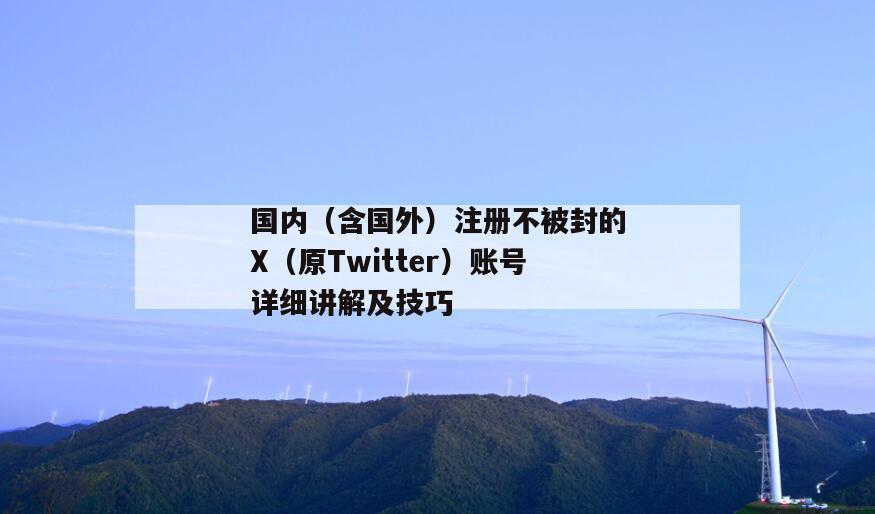 国内（含国外）注册不被封的X（原Twitter）账号详细讲解及技巧