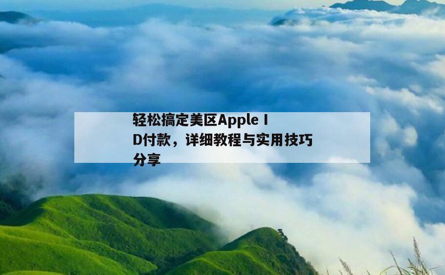 轻松搞定美区Apple ID付款，详细教程与实用技巧分享