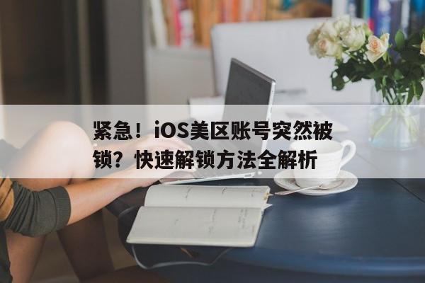 紧急！iOS美区账号突然被锁？快速解锁方法全解析